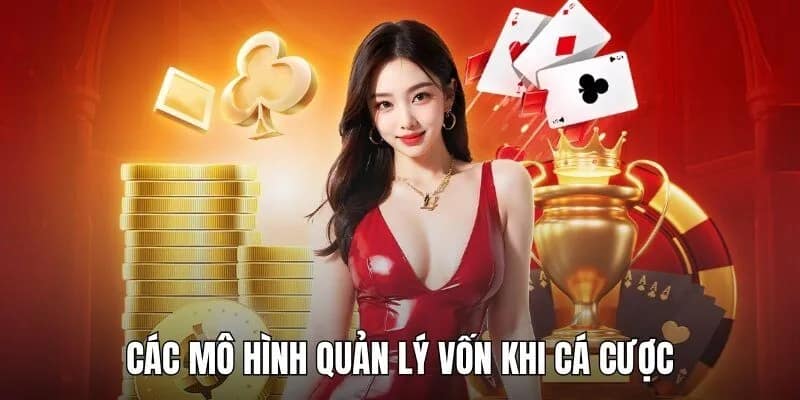 Những mô hình để hội viên áp dụng quản lý vốn hiệu quả
