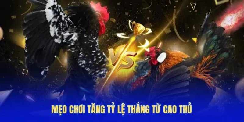 Mẹo chơi tăng tỷ lệ thắng từ cao thủ