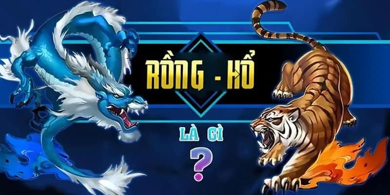 rồng hổ online