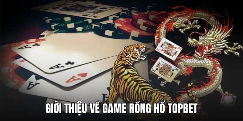 Giới thiệu game Rồng Hổ TOPBET
