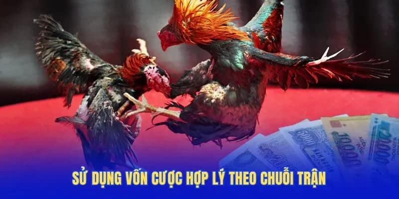 Sử dụng vốn cược hợp lý theo chuỗi trận