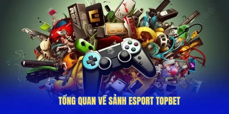 Tổng quan về sảnh Esport Topbet